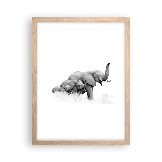 Obraz - Plakat - Raz, dwa, trzy - 30x40cm - Zwierzęta Słoń Czarno-Biały - Foto Plakaty na ścianę w ramie jasny dąb - Plakat do Salonu Sypialni ARTTOR ARTTOR