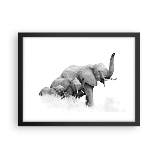 Obraz - Plakat - Raz, dwa, trzy - 40x30cm - Zwierzęta Słoń Czarno-Biały - Foto Plakaty na ścianę w czarnej ramie - Plakat do Salonu Sypialni ARTTOR ARTTOR