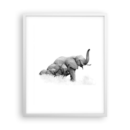 Obraz - Plakat - Raz, dwa, trzy - 40x50cm - Zwierzęta Słoń Czarno-Biały - Foto Plakaty w ramie koloru białego do Salonu Sypialni ARTTOR ARTTOR