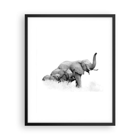 Obraz - Plakat - Raz, dwa, trzy - 40x50cm - Zwierzęta Słoń Czarno-Biały - Foto Plakaty w ramie koloru czarnego do Salonu Sypialni ARTTOR ARTTOR