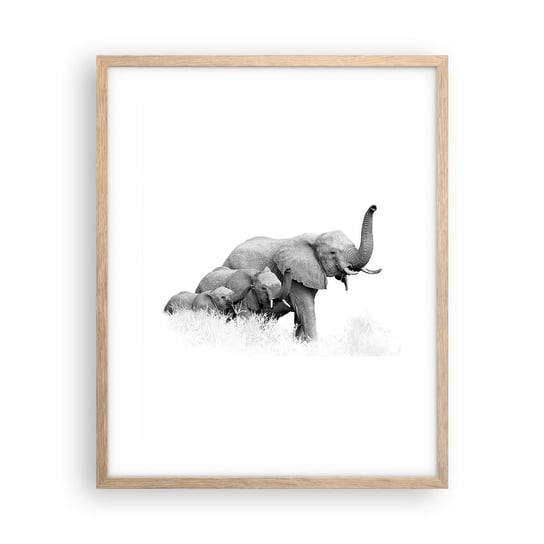 Obraz - Plakat - Raz, dwa, trzy - 40x50cm - Zwierzęta Słoń Czarno-Biały - Foto Plakaty w ramie koloru jasny dąb do Salonu Sypialni ARTTOR ARTTOR