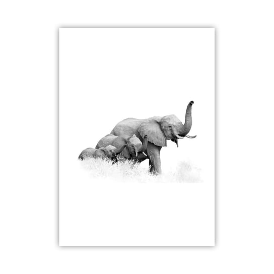 Obraz - Plakat - Raz, dwa, trzy - 50x70cm - Zwierzęta Słoń Czarno-Biały - Nowoczesny modny obraz Plakat bez ramy do Salonu Sypialni ARTTOR ARTTOR