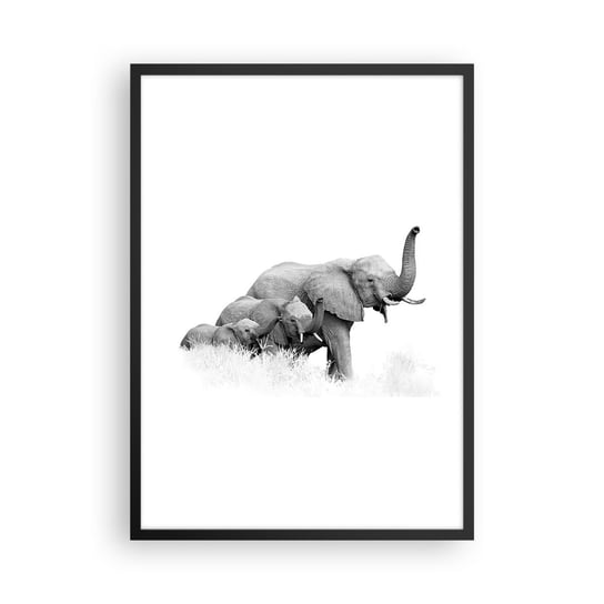 Obraz - Plakat - Raz, dwa, trzy - 50x70cm - Zwierzęta Słoń Czarno-Biały - Nowoczesny modny obraz Plakat czarna rama ARTTOR ARTTOR