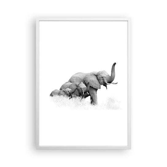 Obraz - Plakat - Raz, dwa, trzy - 50x70cm - Zwierzęta Słoń Czarno-Biały - Nowoczesny modny obraz Plakat rama biała ARTTOR ARTTOR