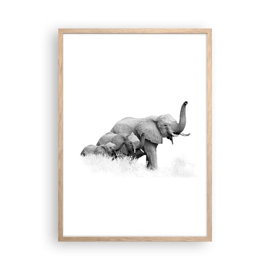 Obraz - Plakat - Raz, dwa, trzy - 50x70cm - Zwierzęta Słoń Czarno-Biały - Nowoczesny modny obraz Plakat rama jasny dąb ARTTOR ARTTOR