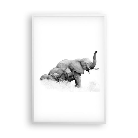 Obraz - Plakat - Raz, dwa, trzy - 61x91cm - Zwierzęta Słoń Czarno-Biały - Foto Plakaty na ścianę w ramie białej - Plakat do Salonu Sypialni ARTTOR ARTTOR