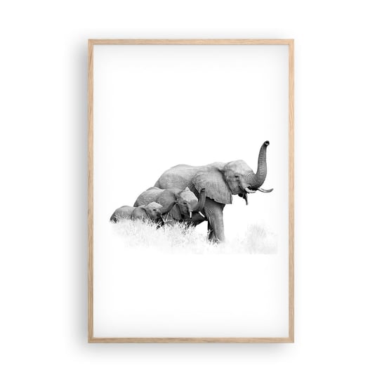 Obraz - Plakat - Raz, dwa, trzy - 61x91cm - Zwierzęta Słoń Czarno-Biały - Foto Plakaty na ścianę w ramie jasny dąb - Plakat do Salonu Sypialni ARTTOR ARTTOR