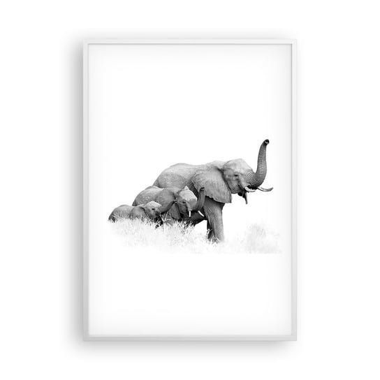 Obraz - Plakat - Raz, dwa, trzy - 70x100cm - Zwierzęta Słoń Czarno-Biały - Foto Plakaty w ramie koloru białego do Salonu Sypialni ARTTOR ARTTOR