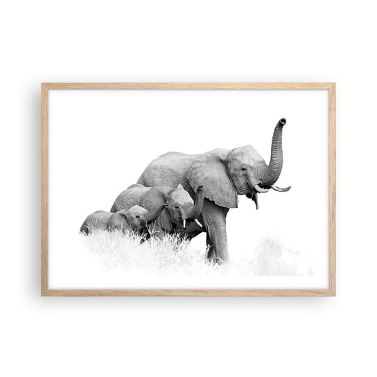 Obraz - Plakat - Raz, dwa, trzy - 70x50cm - Zwierzęta Słoń Czarno-Biały - Nowoczesny modny obraz Plakat rama jasny dąb ARTTOR ARTTOR