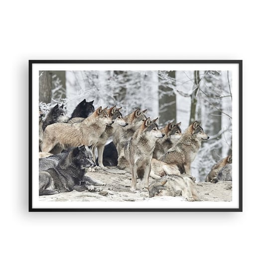 Obraz - Plakat - Rodzina i przyjaciele - 100x70cm - Wataha Wilków Wilki Zwierzęta - Foto Plakaty w ramie koloru czarnego do Salonu Sypialni ARTTOR ARTTOR