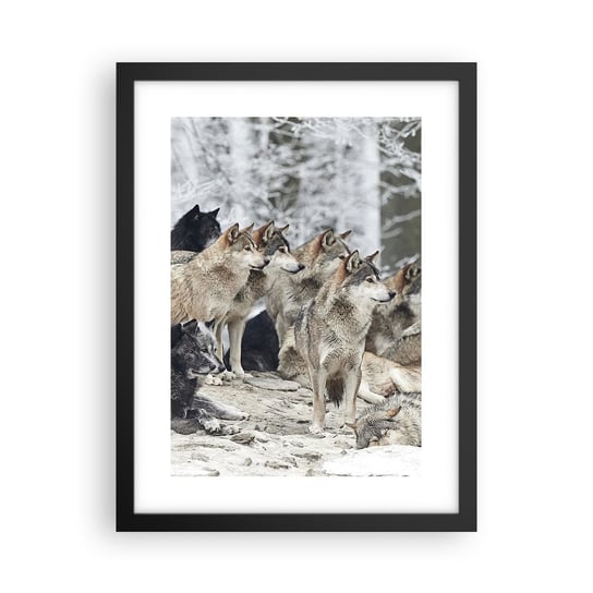 Obraz - Plakat - Rodzina i przyjaciele - 30x40cm - Wataha Wilków Wilki Zwierzęta - Foto Plakaty na ścianę w czarnej ramie - Plakat do Salonu Sypialni ARTTOR ARTTOR