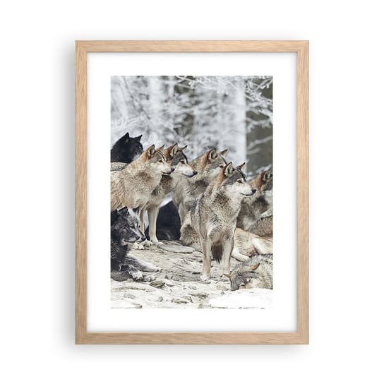 Obraz - Plakat - Rodzina i przyjaciele - 30x40cm - Wataha Wilków Wilki Zwierzęta - Foto Plakaty na ścianę w ramie jasny dąb - Plakat do Salonu Sypialni ARTTOR ARTTOR