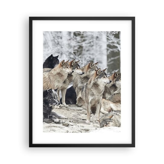 Obraz - Plakat - Rodzina i przyjaciele - 40x50cm - Wataha Wilków Wilki Zwierzęta - Foto Plakaty w ramie koloru czarnego do Salonu Sypialni ARTTOR ARTTOR