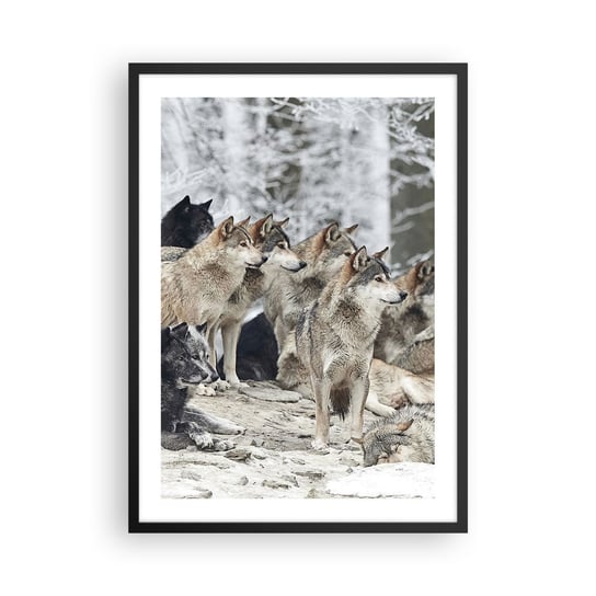 Obraz - Plakat - Rodzina i przyjaciele - 50x70cm - Wataha Wilków Wilki Zwierzęta - Nowoczesny modny obraz Plakat czarna rama ARTTOR ARTTOR