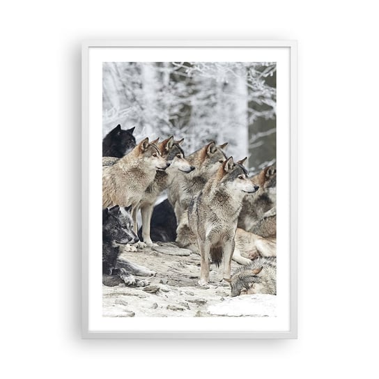 Obraz - Plakat - Rodzina i przyjaciele - 50x70cm - Wataha Wilków Wilki Zwierzęta - Nowoczesny modny obraz Plakat rama biała ARTTOR ARTTOR