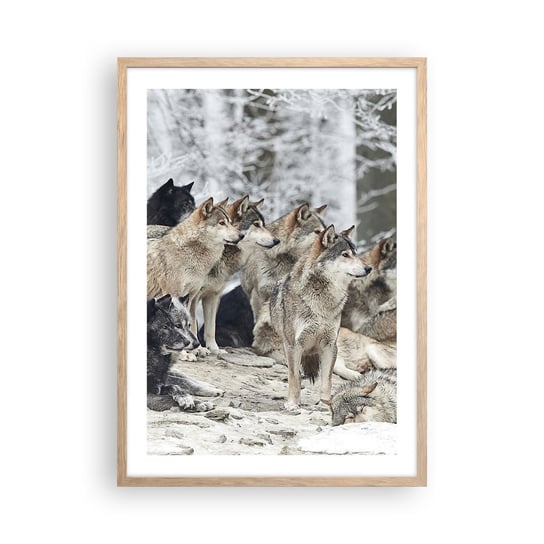 Obraz - Plakat - Rodzina i przyjaciele - 50x70cm - Wataha Wilków Wilki Zwierzęta - Nowoczesny modny obraz Plakat rama jasny dąb ARTTOR ARTTOR