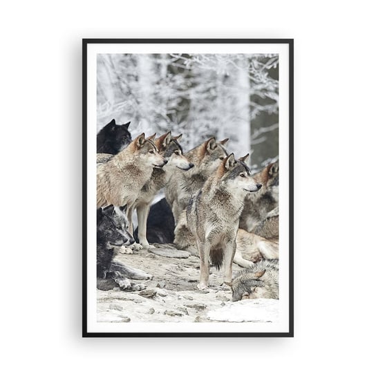 Obraz - Plakat - Rodzina i przyjaciele - 70x100cm - Wataha Wilków Wilki Zwierzęta - Foto Plakaty w ramie koloru czarnego do Salonu Sypialni ARTTOR ARTTOR