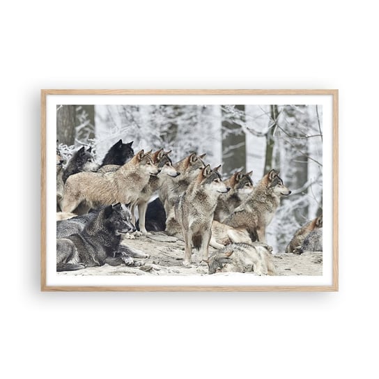 Obraz - Plakat - Rodzina i przyjaciele - 91x61cm - Wataha Wilków Wilki Zwierzęta - Foto Plakaty na ścianę w ramie jasny dąb - Plakat do Salonu Sypialni ARTTOR ARTTOR