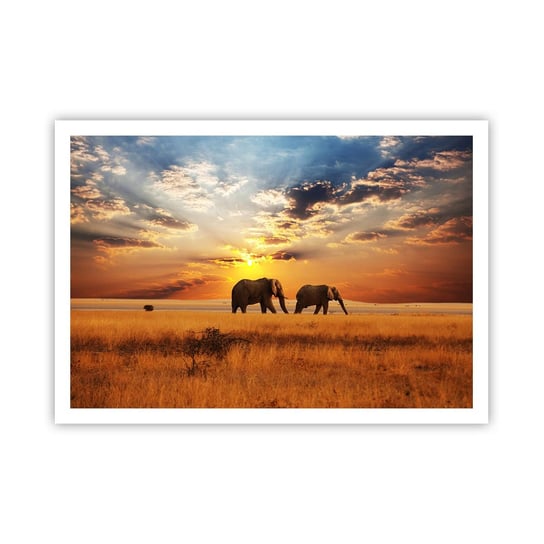 Obraz - Plakat - Rodzinna przechadzka - 100x70cm - Zwierzęta Afryka Słoń - Foto Plakaty bez ramy na ścianę do Salonu Sypialni ARTTOR ARTTOR