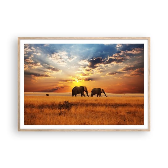 Obraz - Plakat - Rodzinna przechadzka - 100x70cm - Zwierzęta Afryka Słoń - Foto Plakaty w ramie koloru jasny dąb do Salonu Sypialni ARTTOR ARTTOR