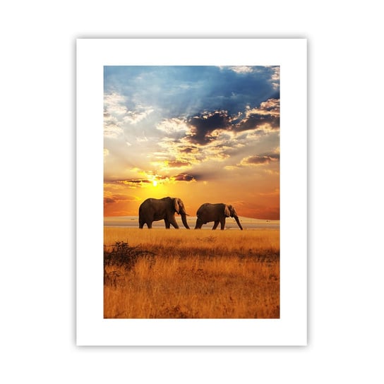 Obraz - Plakat - Rodzinna przechadzka - 30x40cm - Zwierzęta Afryka Słoń - Foto Plakaty na ścianę bez ramy - Plakat do Salonu Sypialni ARTTOR ARTTOR
