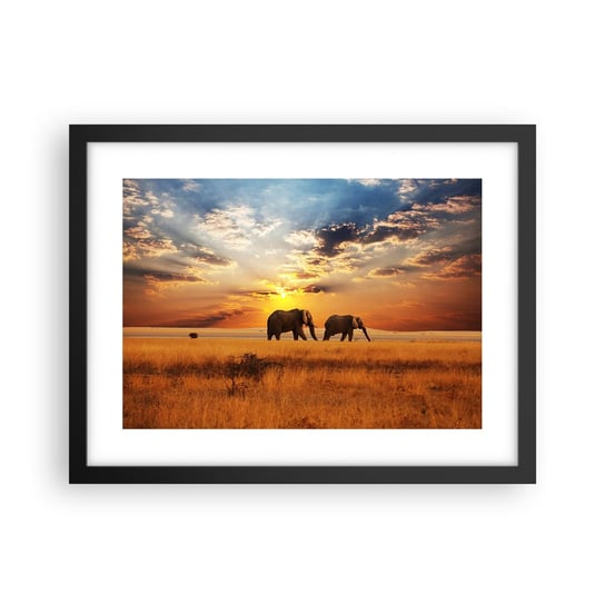 Obraz - Plakat - Rodzinna przechadzka - 40x30cm - Zwierzęta Afryka Słoń - Foto Plakaty na ścianę w czarnej ramie - Plakat do Salonu Sypialni ARTTOR ARTTOR