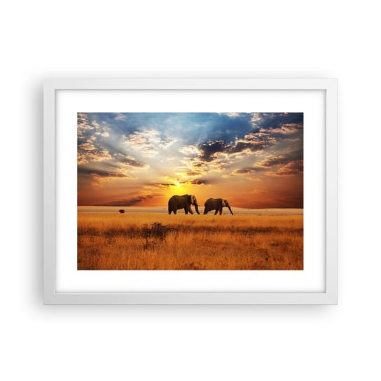 Obraz - Plakat - Rodzinna przechadzka - 40x30cm - Zwierzęta Afryka Słoń - Foto Plakaty na ścianę w ramie białej - Plakat do Salonu Sypialni ARTTOR ARTTOR