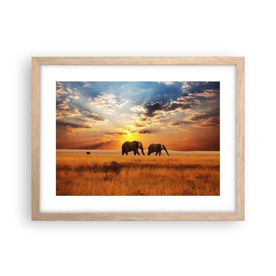 Obraz - Plakat - Rodzinna przechadzka - 40x30cm - Zwierzęta Afryka Słoń - Foto Plakaty na ścianę w ramie jasny dąb - Plakat do Salonu Sypialni ARTTOR ARTTOR