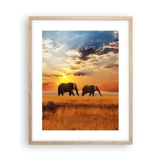 Obraz - Plakat - Rodzinna przechadzka - 40x50cm - Zwierzęta Afryka Słoń - Foto Plakaty w ramie koloru jasny dąb do Salonu Sypialni ARTTOR ARTTOR