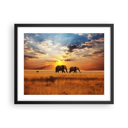 Obraz - Plakat - Rodzinna przechadzka - 50x40cm - Zwierzęta Afryka Słoń - Foto Plakaty w ramie koloru czarnego do Salonu Sypialni ARTTOR ARTTOR