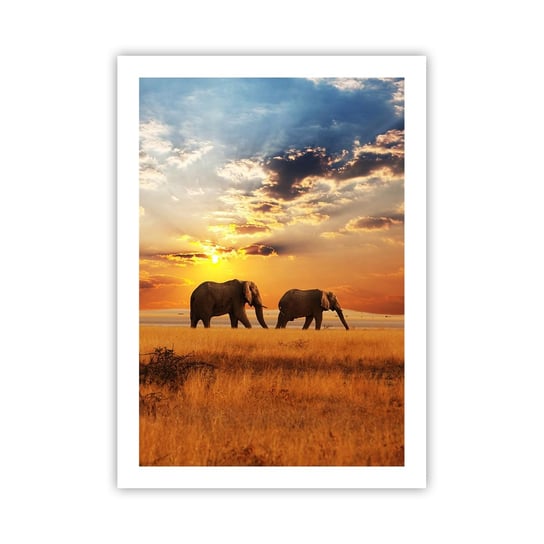 Obraz - Plakat - Rodzinna przechadzka - 50x70cm - Zwierzęta Afryka Słoń - Nowoczesny modny obraz Plakat bez ramy do Salonu Sypialni ARTTOR ARTTOR