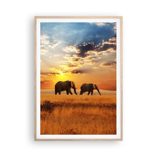 Obraz - Plakat - Rodzinna przechadzka - 70x100cm - Zwierzęta Afryka Słoń - Foto Plakaty w ramie koloru jasny dąb do Salonu Sypialni ARTTOR ARTTOR