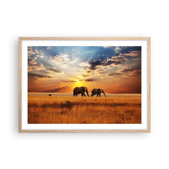 Obraz - Plakat - Rodzinna przechadzka - 70x50cm - Zwierzęta Afryka Słoń - Nowoczesny modny obraz Plakat rama jasny dąb ARTTOR ARTTOR