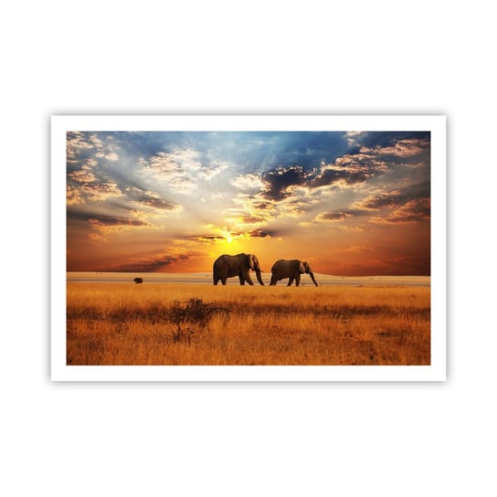 Obraz - Plakat - Rodzinna przechadzka - 91x61cm - Zwierzęta Afryka Słoń - Foto Plakaty na ścianę bez ramy - Plakat do Salonu Sypialni ARTTOR ARTTOR