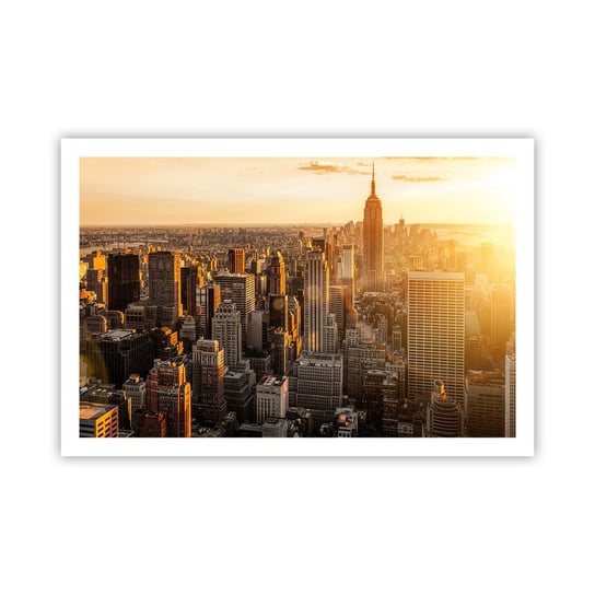 Obraz - Plakat - Rosnąc w słońcu - 91x61cm - Miasto Nowy Jork Architektura - Foto Plakaty na ścianę bez ramy - Plakat do Salonu Sypialni ARTTOR ARTTOR