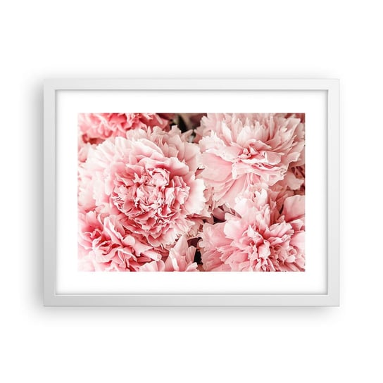 Obraz - Plakat - Różowe marzenie - 40x30cm - Kwiaty Piwonie Romantyzm - Foto Plakaty na ścianę w ramie białej - Plakat do Salonu Sypialni ARTTOR ARTTOR