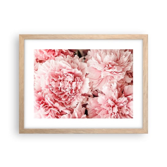 Obraz - Plakat - Różowe marzenie - 40x30cm - Kwiaty Piwonie Romantyzm - Foto Plakaty na ścianę w ramie jasny dąb - Plakat do Salonu Sypialni ARTTOR ARTTOR