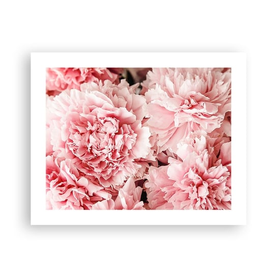 Obraz - Plakat - Różowe marzenie - 50x40cm - Kwiaty Piwonie Romantyzm - Foto Plakaty bez ramy do Salonu Sypialni ARTTOR ARTTOR