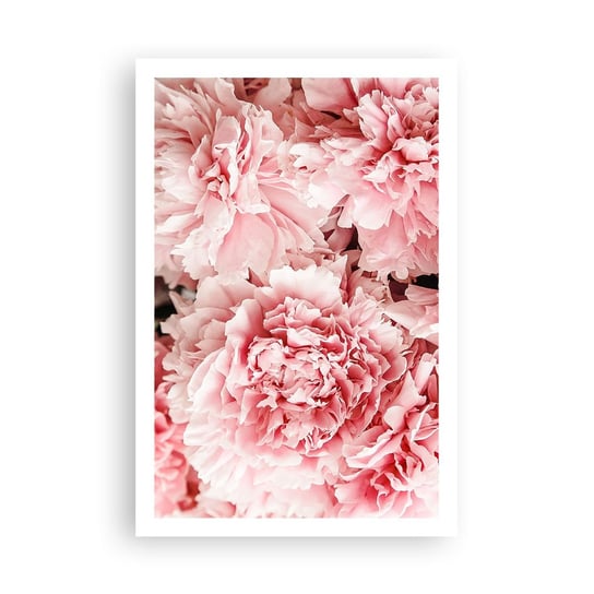 Obraz - Plakat - Różowe marzenie - 61x91cm - Kwiaty Piwonie Romantyzm - Foto Plakaty na ścianę bez ramy - Plakat do Salonu Sypialni ARTTOR ARTTOR