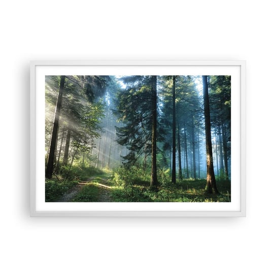 Obraz - Plakat - Rozpromieniony o poranku - 70x50cm - Krajobraz Las Natura - Nowoczesny modny obraz Plakat rama biała ARTTOR ARTTOR