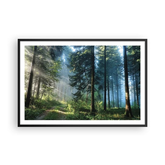 Obraz - Plakat - Rozpromieniony o poranku - 91x61cm - Krajobraz Las Natura - Foto Plakaty na ścianę w czarnej ramie - Plakat do Salonu Sypialni ARTTOR ARTTOR