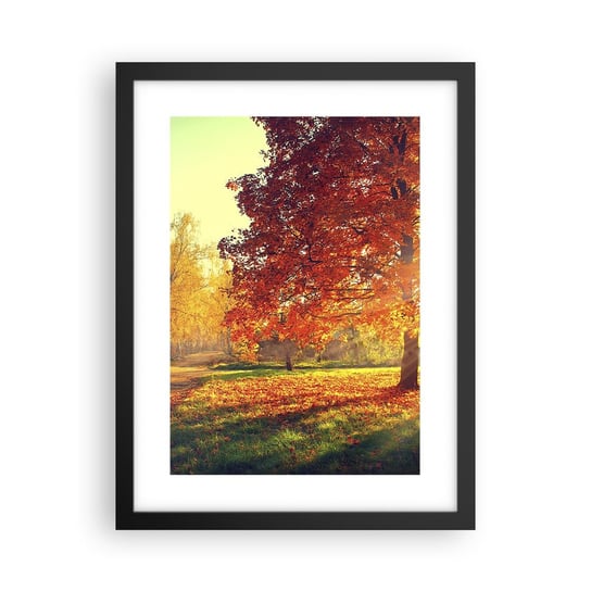 Obraz - Plakat - Rude jest piękne - 30x40cm - Krajobraz Park Natura - Foto Plakaty na ścianę w czarnej ramie - Plakat do Salonu Sypialni ARTTOR ARTTOR