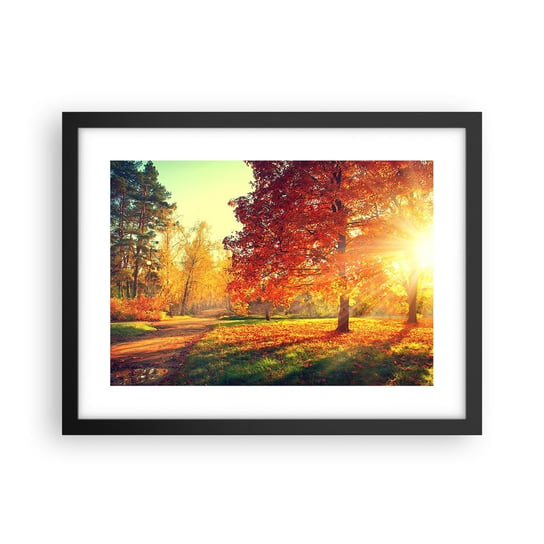 Obraz - Plakat - Rude jest piękne - 40x30cm - Krajobraz Park Natura - Foto Plakaty na ścianę w czarnej ramie - Plakat do Salonu Sypialni ARTTOR ARTTOR