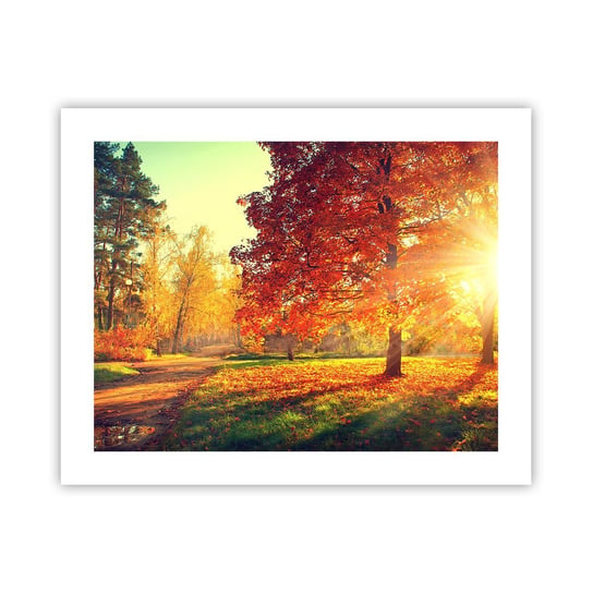 Obraz - Plakat - Rude jest piękne - 50x40cm - Krajobraz Park Natura - Foto Plakaty bez ramy do Salonu Sypialni ARTTOR ARTTOR