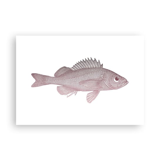 Obraz - Plakat - Ryba wielkooka - 100x70cm - Ryba Podwodny Minimalistyczny - Foto Plakaty bez ramy na ścianę do Salonu Sypialni ARTTOR ARTTOR