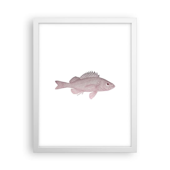 Obraz - Plakat - Ryba wielkooka - 30x40cm - Ryba Podwodny Minimalistyczny - Foto Plakaty na ścianę w ramie białej - Plakat do Salonu Sypialni ARTTOR ARTTOR