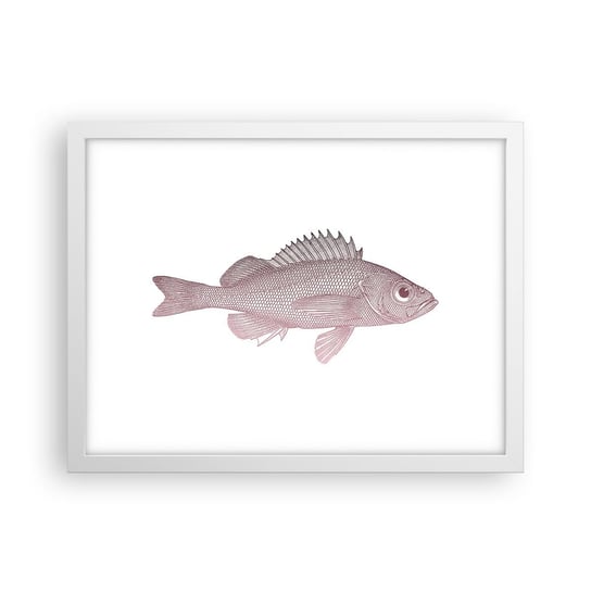 Obraz - Plakat - Ryba wielkooka - 40x30cm - Ryba Podwodny Minimalistyczny - Foto Plakaty na ścianę w ramie białej - Plakat do Salonu Sypialni ARTTOR ARTTOR