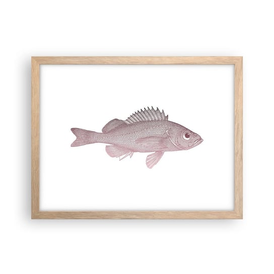 Obraz - Plakat - Ryba wielkooka - 40x30cm - Ryba Podwodny Minimalistyczny - Foto Plakaty na ścianę w ramie jasny dąb - Plakat do Salonu Sypialni ARTTOR ARTTOR