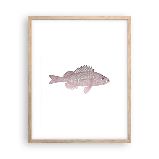 Obraz - Plakat - Ryba wielkooka - 40x50cm - Ryba Podwodny Minimalistyczny - Foto Plakaty w ramie koloru jasny dąb do Salonu Sypialni ARTTOR ARTTOR