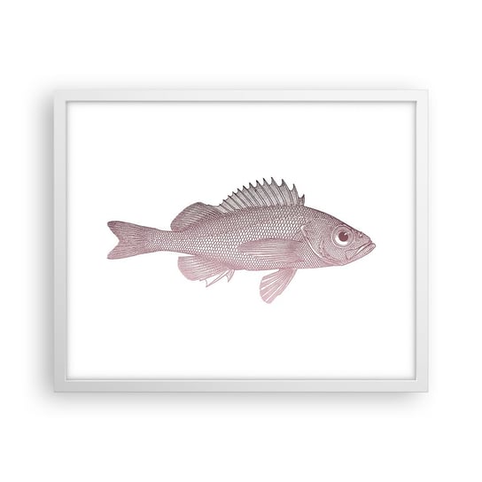 Obraz - Plakat - Ryba wielkooka - 50x40cm - Ryba Podwodny Minimalistyczny - Foto Plakaty w ramie koloru białego do Salonu Sypialni ARTTOR ARTTOR